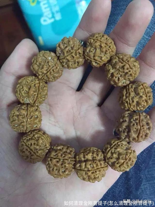如何清理金刚菩提子(怎么清理金刚菩提子)