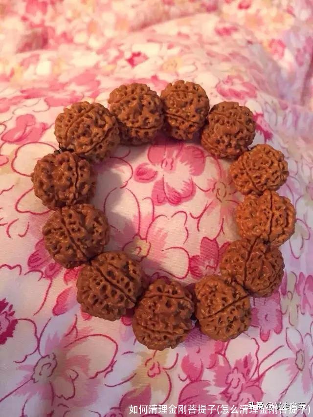 如何清理金刚菩提子(怎么清理金刚菩提子)