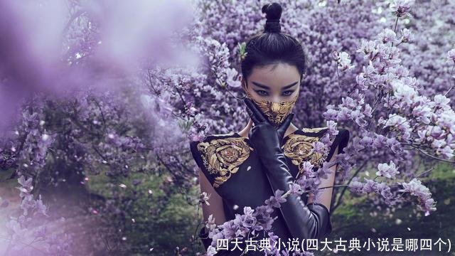 四大古典小说(四大古典小说是哪四个)