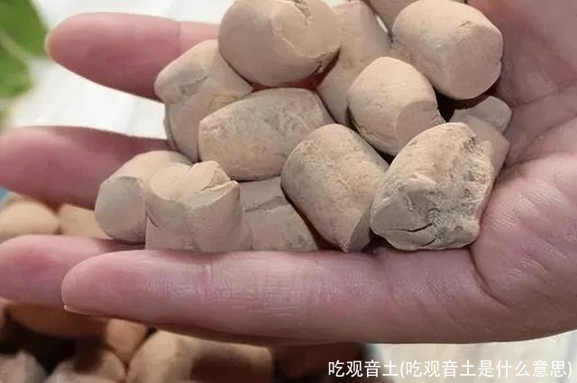 吃观音土(吃观音土是什么意思)