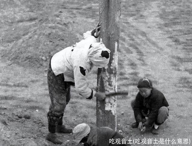 吃观音土(吃观音土是什么意思)