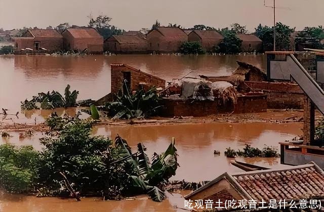 吃观音土(吃观音土是什么意思)