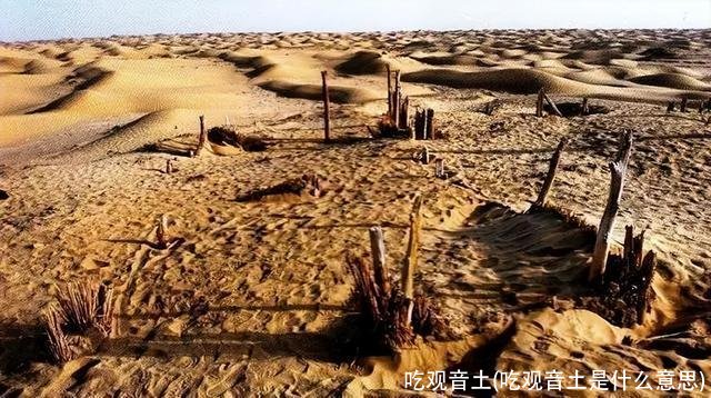 吃观音土(吃观音土是什么意思)