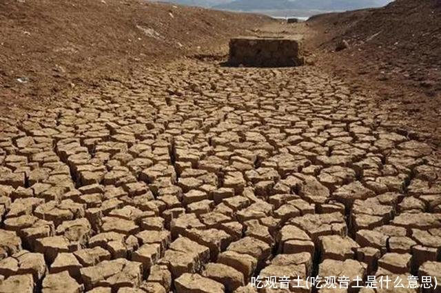 吃观音土(吃观音土是什么意思)