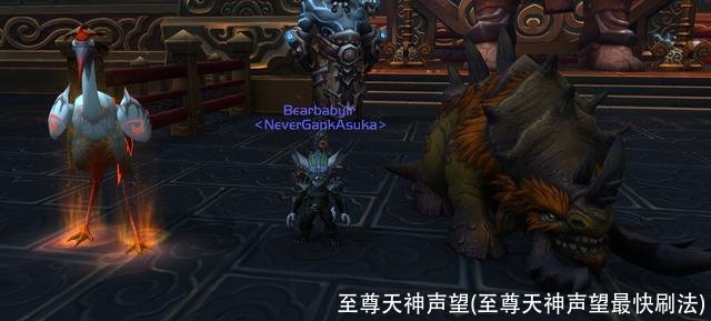 至尊天神声望(至尊天神声望最快刷法)