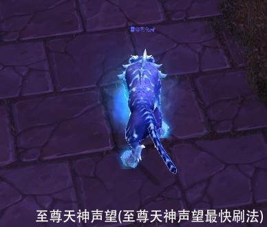 至尊天神声望(至尊天神声望最快刷法)