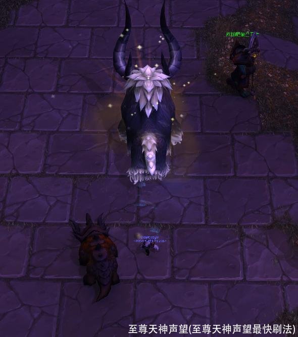 至尊天神声望(至尊天神声望最快刷法)