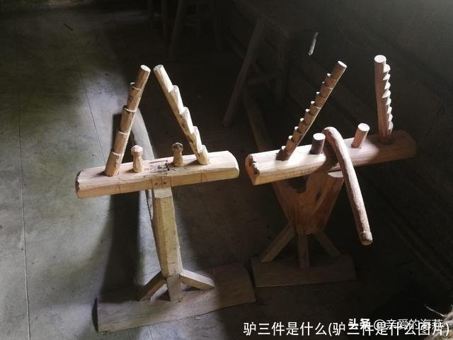 驴三件是什么(驴三件是什么图片)