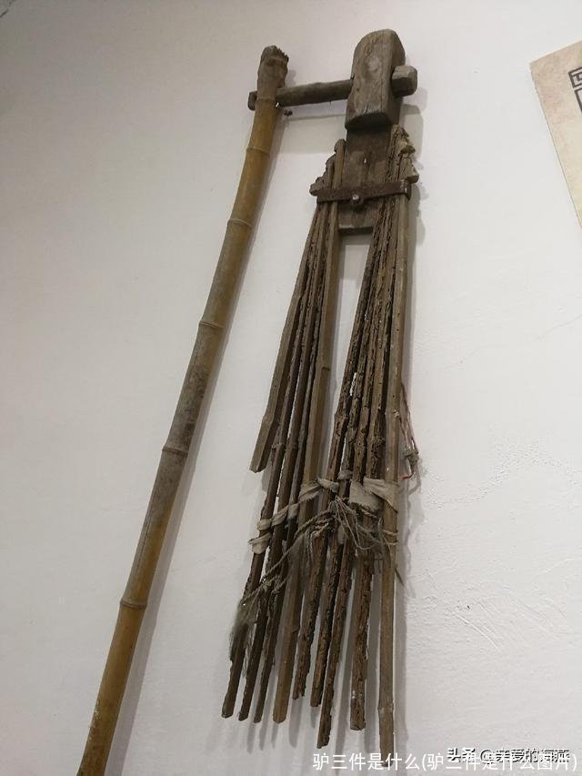 驴三件是什么(驴三件是什么图片)