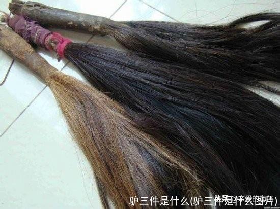 驴三件是什么(驴三件是什么图片)
