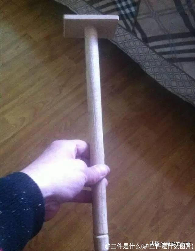 驴三件是什么(驴三件是什么图片)