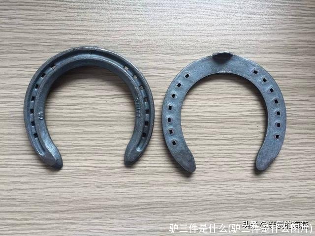 驴三件是什么(驴三件是什么图片)