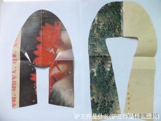 驴三件是什么(驴三件是什么图片)