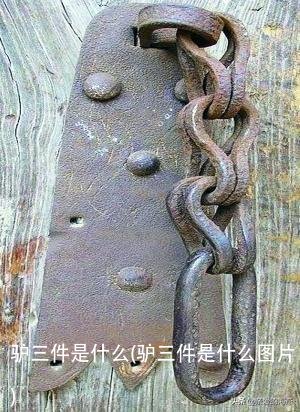 驴三件是什么(驴三件是什么图片)