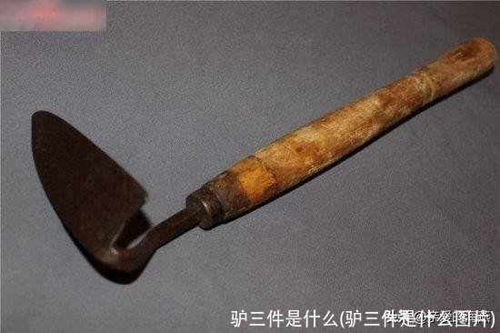 驴三件是什么(驴三件是什么图片)