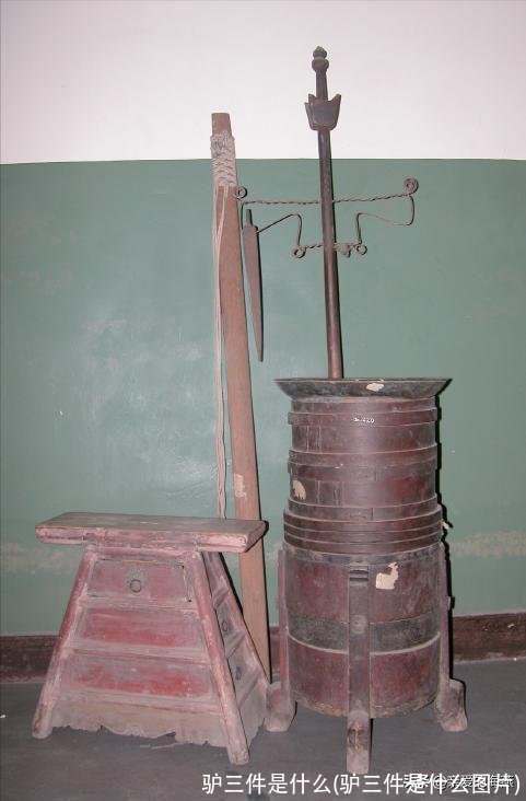 驴三件是什么(驴三件是什么图片)