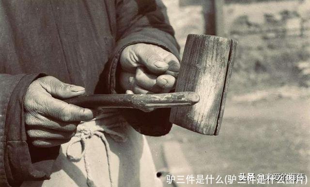 驴三件是什么(驴三件是什么图片)