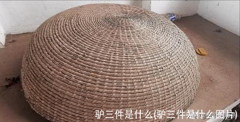 驴三件是什么(驴三件是什么图片)