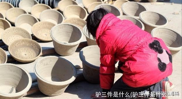驴三件是什么(驴三件是什么图片)