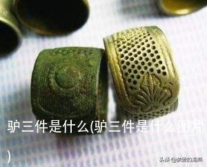 驴三件是什么(驴三件是什么图片)