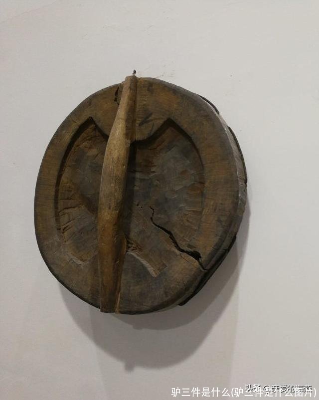 驴三件是什么(驴三件是什么图片)