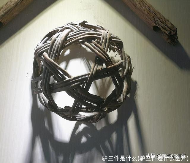 驴三件是什么(驴三件是什么图片)