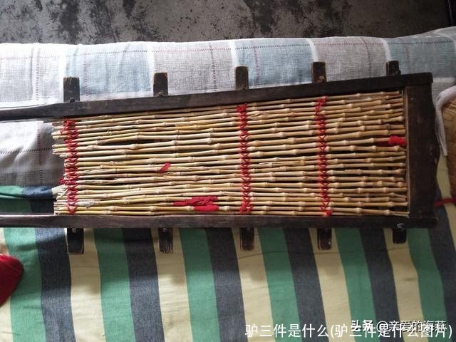 驴三件是什么(驴三件是什么图片)