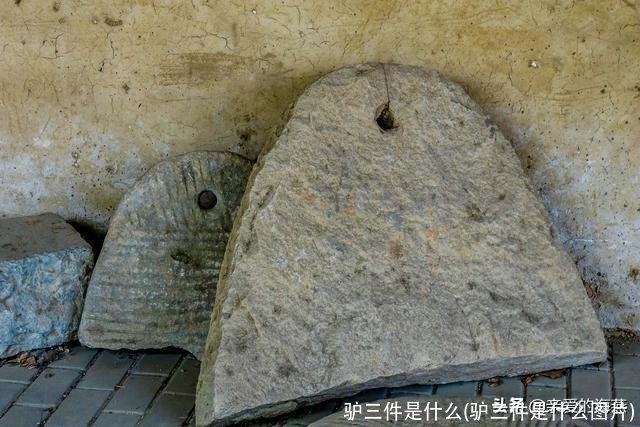 驴三件是什么(驴三件是什么图片)