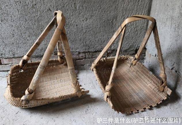 驴三件是什么(驴三件是什么图片)