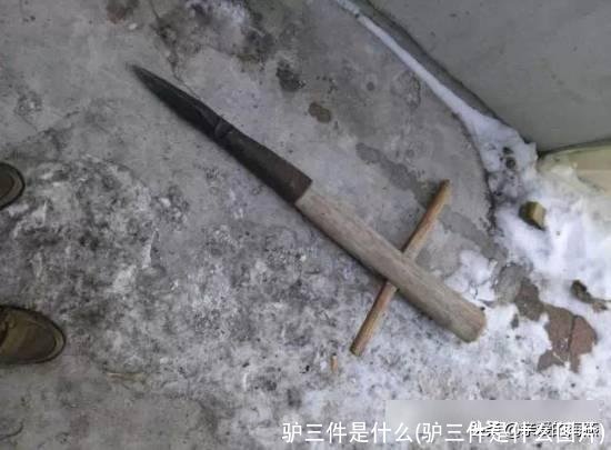 驴三件是什么(驴三件是什么图片)