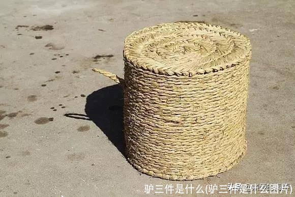 驴三件是什么(驴三件是什么图片)