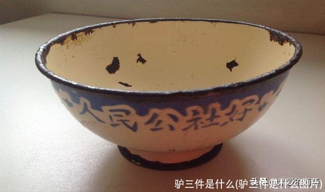 驴三件是什么(驴三件是什么图片)