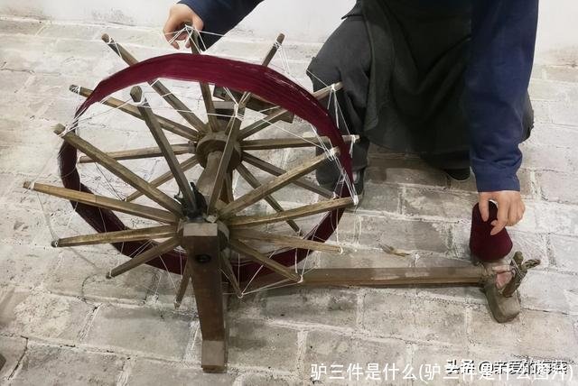 驴三件是什么(驴三件是什么图片)