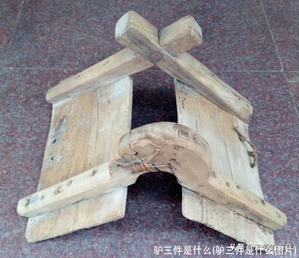 驴三件是什么(驴三件是什么图片)