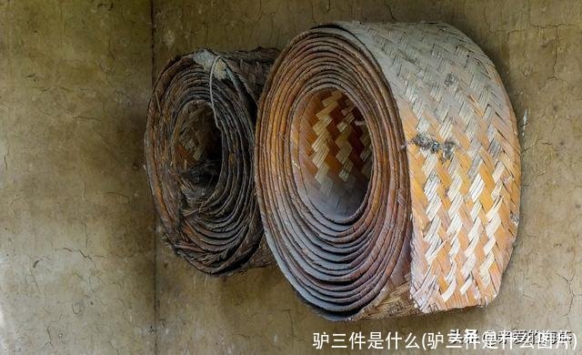 驴三件是什么(驴三件是什么图片)