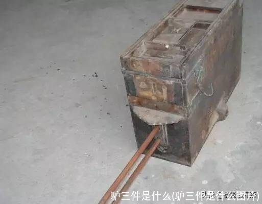 驴三件是什么(驴三件是什么图片)