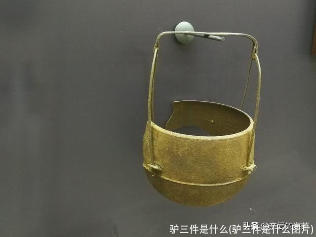 驴三件是什么(驴三件是什么图片)