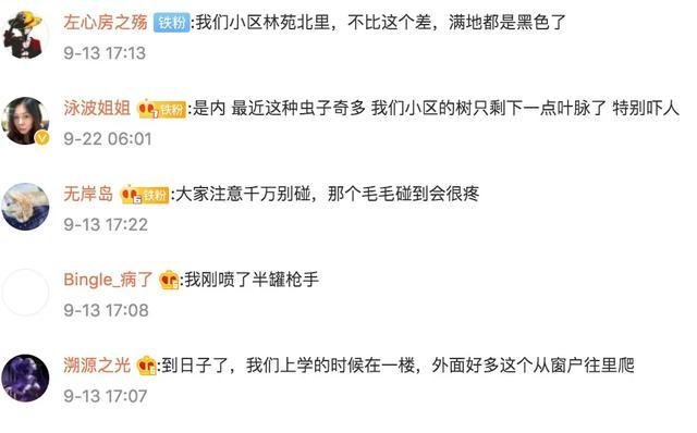 黑色毛毛虫(黑色毛毛虫是什么幼虫)