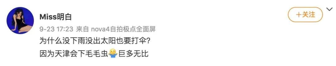 黑色毛毛虫(黑色毛毛虫是什么幼虫)