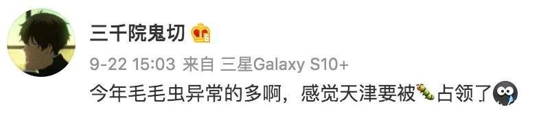 黑色毛毛虫(黑色毛毛虫是什么幼虫)