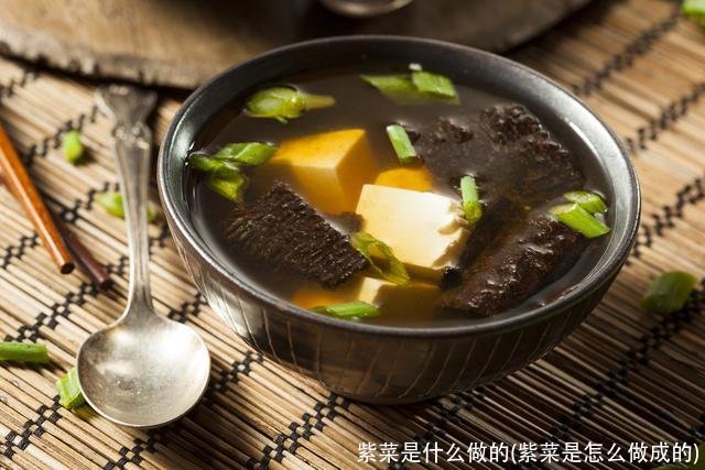 紫菜是什么做的(紫菜是怎么做成的)