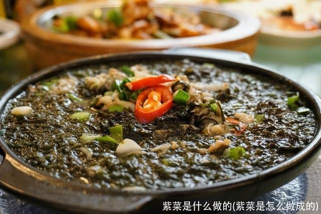 紫菜是什么做的(紫菜是怎么做成的)