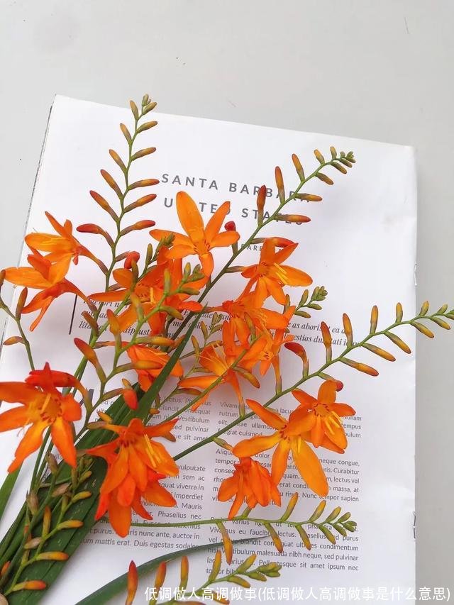 低调做人高调做事(低调做人高调做事是什么意思)