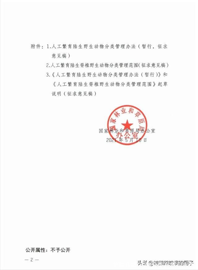 动物分类(动物分类有哪几大类)