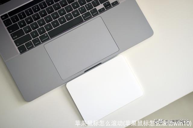 苹果鼠标怎么滚动(苹果鼠标怎么滚动win10)