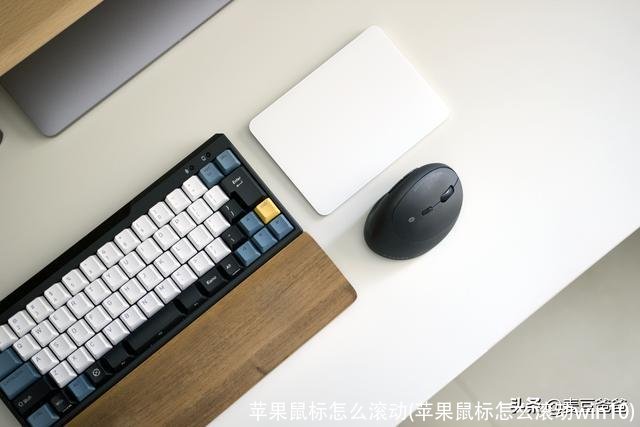 苹果鼠标怎么滚动(苹果鼠标怎么滚动win10)