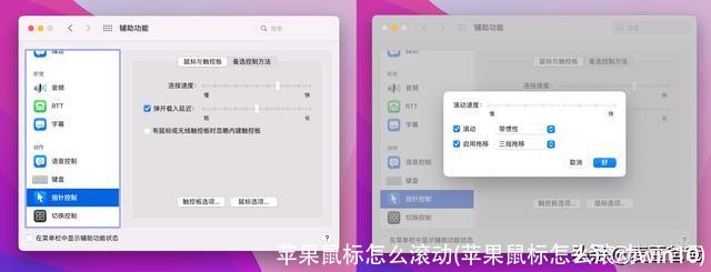 苹果鼠标怎么滚动(苹果鼠标怎么滚动win10)
