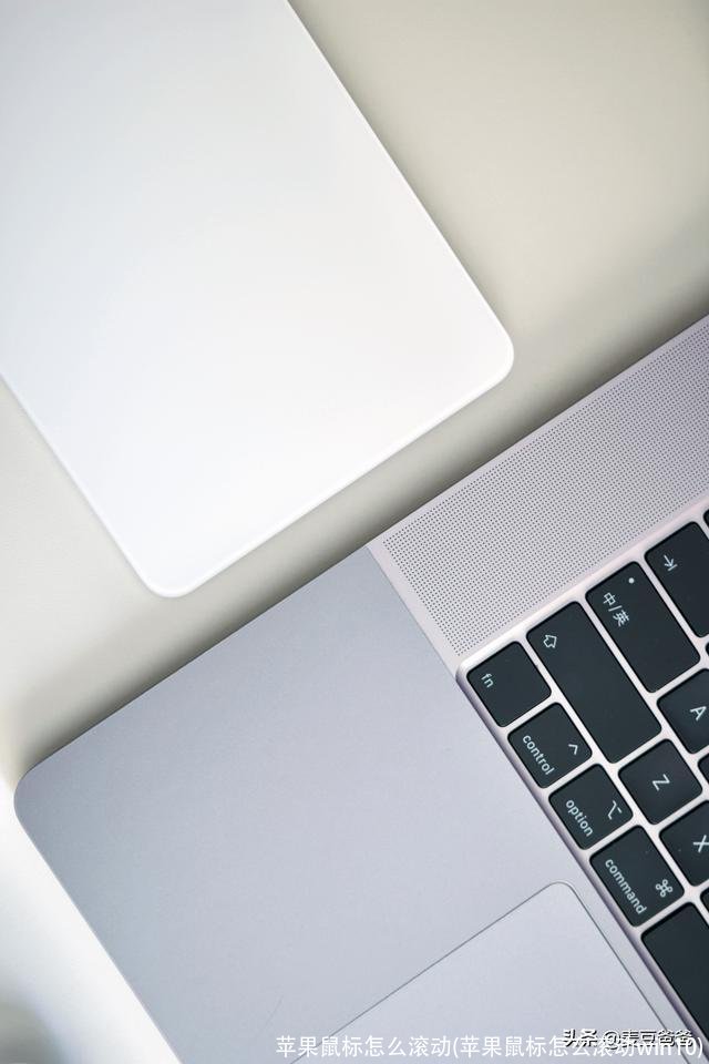 苹果鼠标怎么滚动(苹果鼠标怎么滚动win10)
