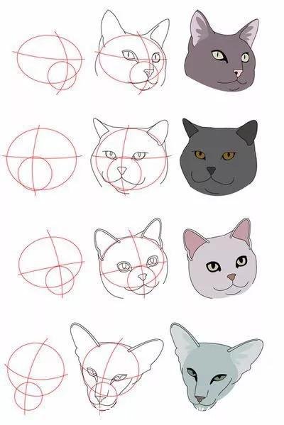 如何画猫(如何画猫咪简笔画步骤)