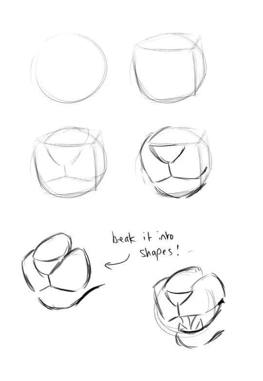 如何画猫(如何画猫咪简笔画步骤)